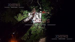 Паднали дървета вдигнаха пожарната на крак Паднали дървета вдигнаха пожарната на крак