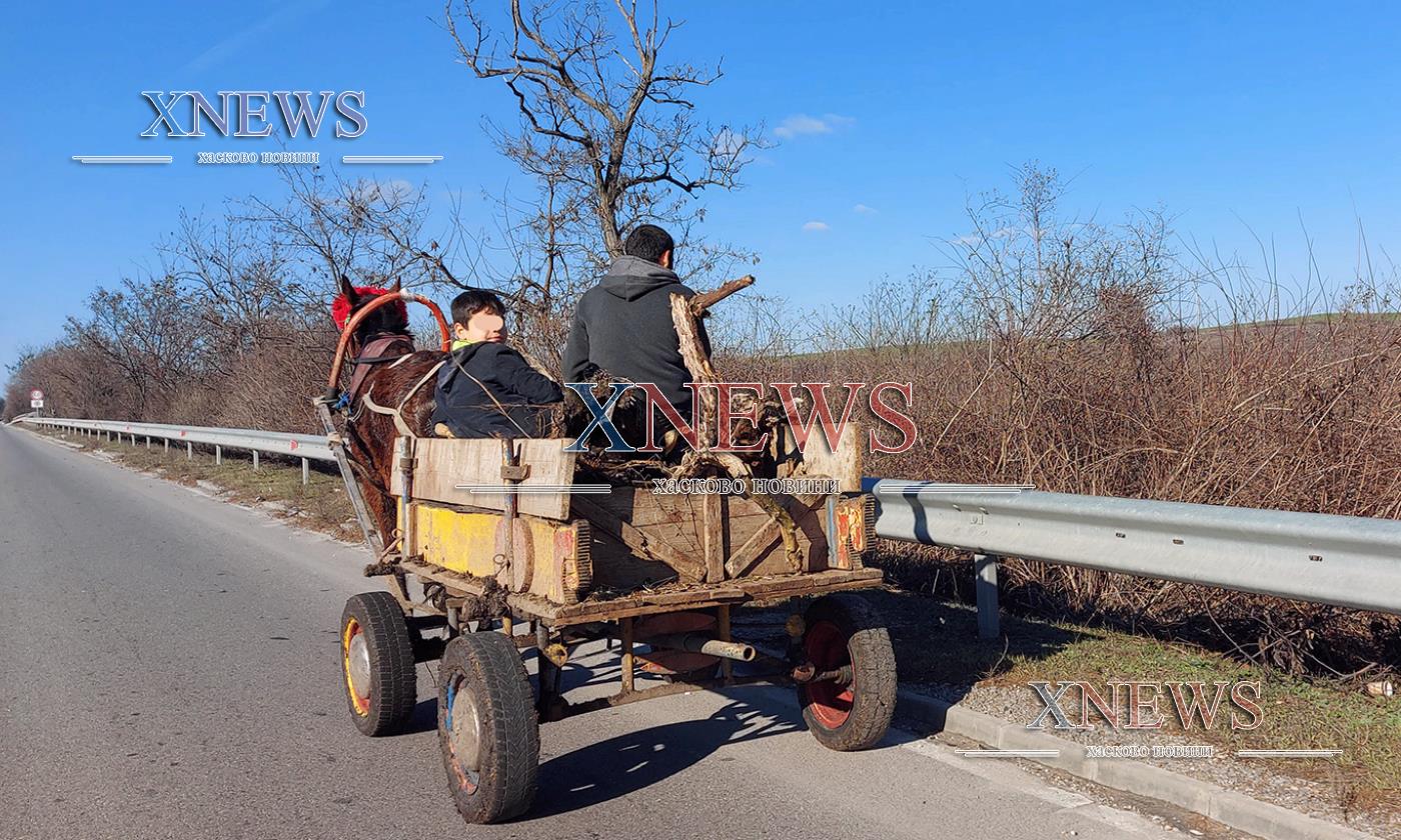 Топлото време изкара роми за дърва