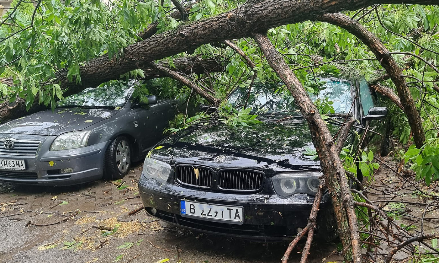 Лятна буря премина през Хасковско
