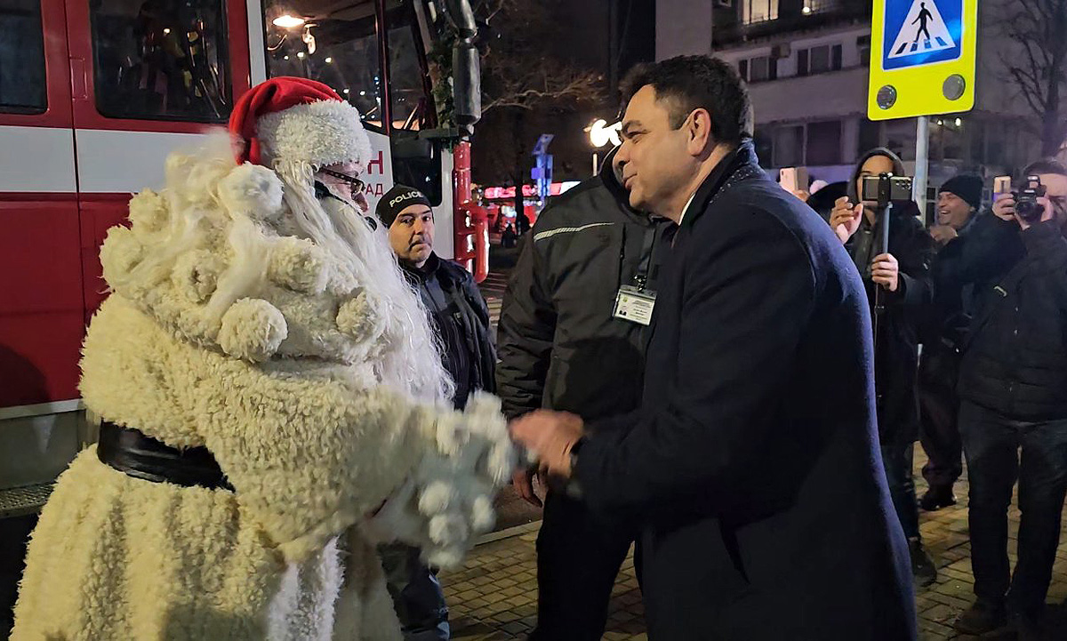 Грейнаха светлините на най-голямото живо Коледно дърво в Европа