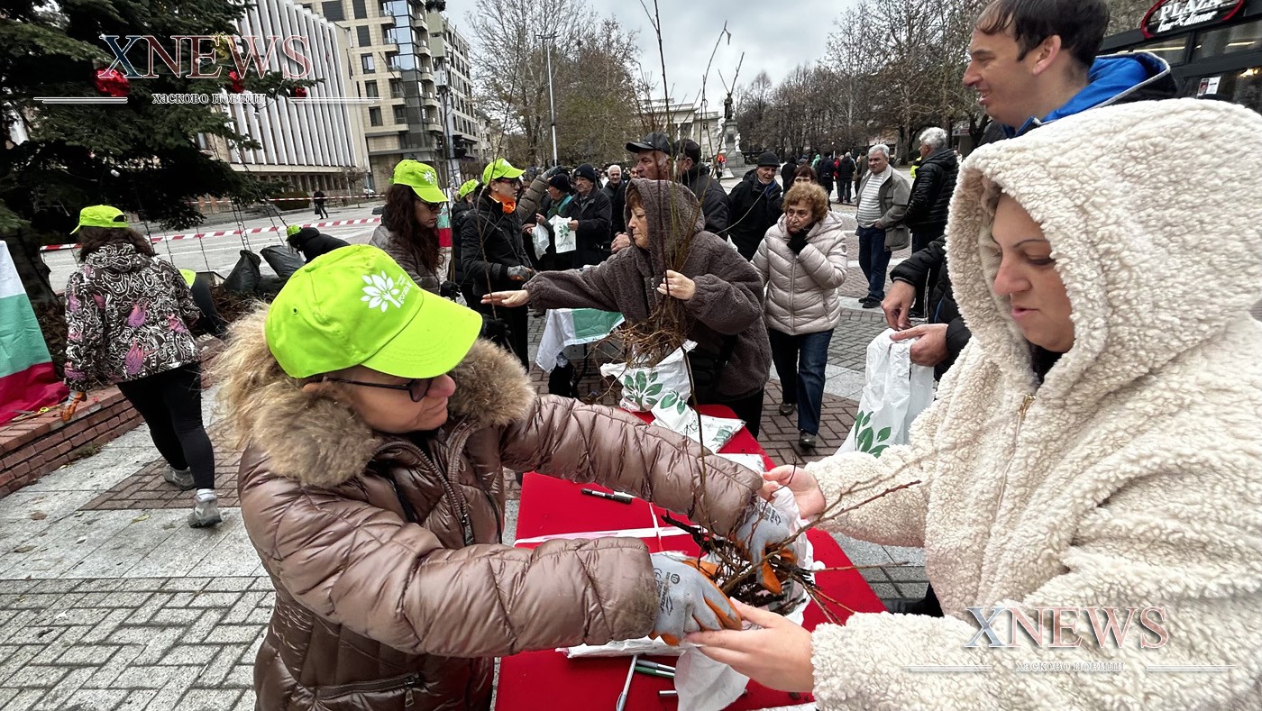 100 000 дръвчета на Гората.бг са засадени в Хасково и региона 100 000 дръвчета на Гората.бг са засадени в Хасково и региона