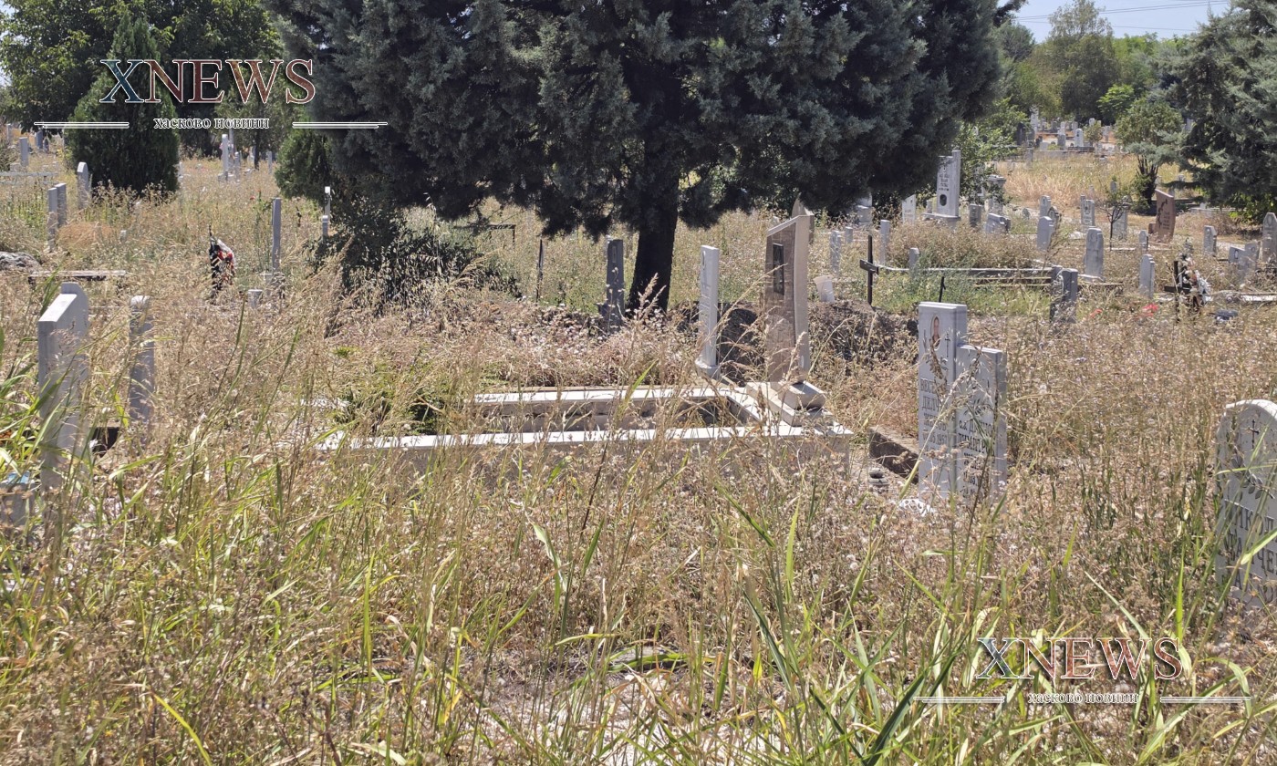На гробищата в Хасково: Избуяли треви и лисици На гробищата в Хасково: Избуяли треви и лисици